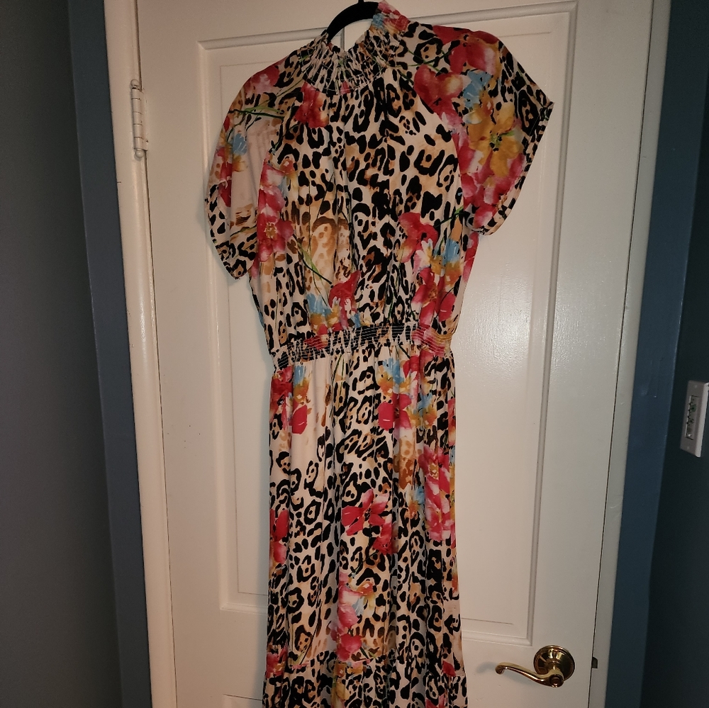 Leopard and Colorful Dress